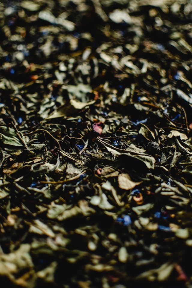 The Benefits of Herbal Teas for Digestive Health